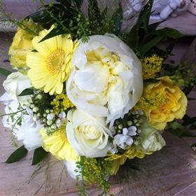 fwthumb462843736_8499043023514574_1140195837581857210_n - Copy.jpg